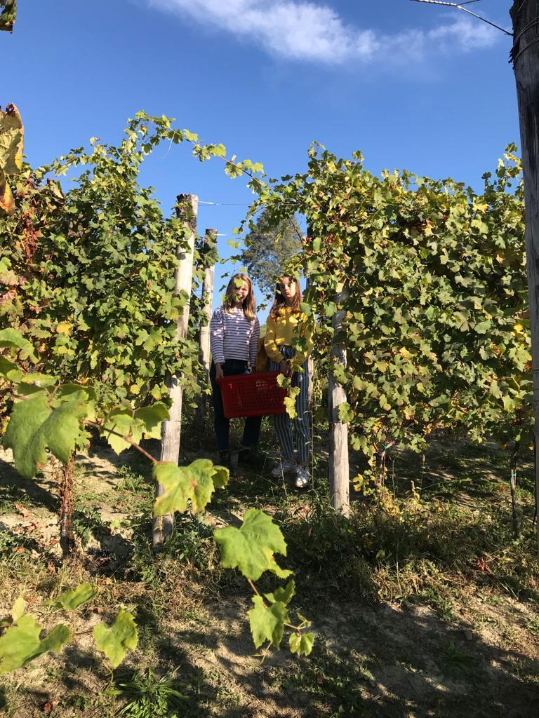 PHOTO-2019-10-05-15-33-19(9)