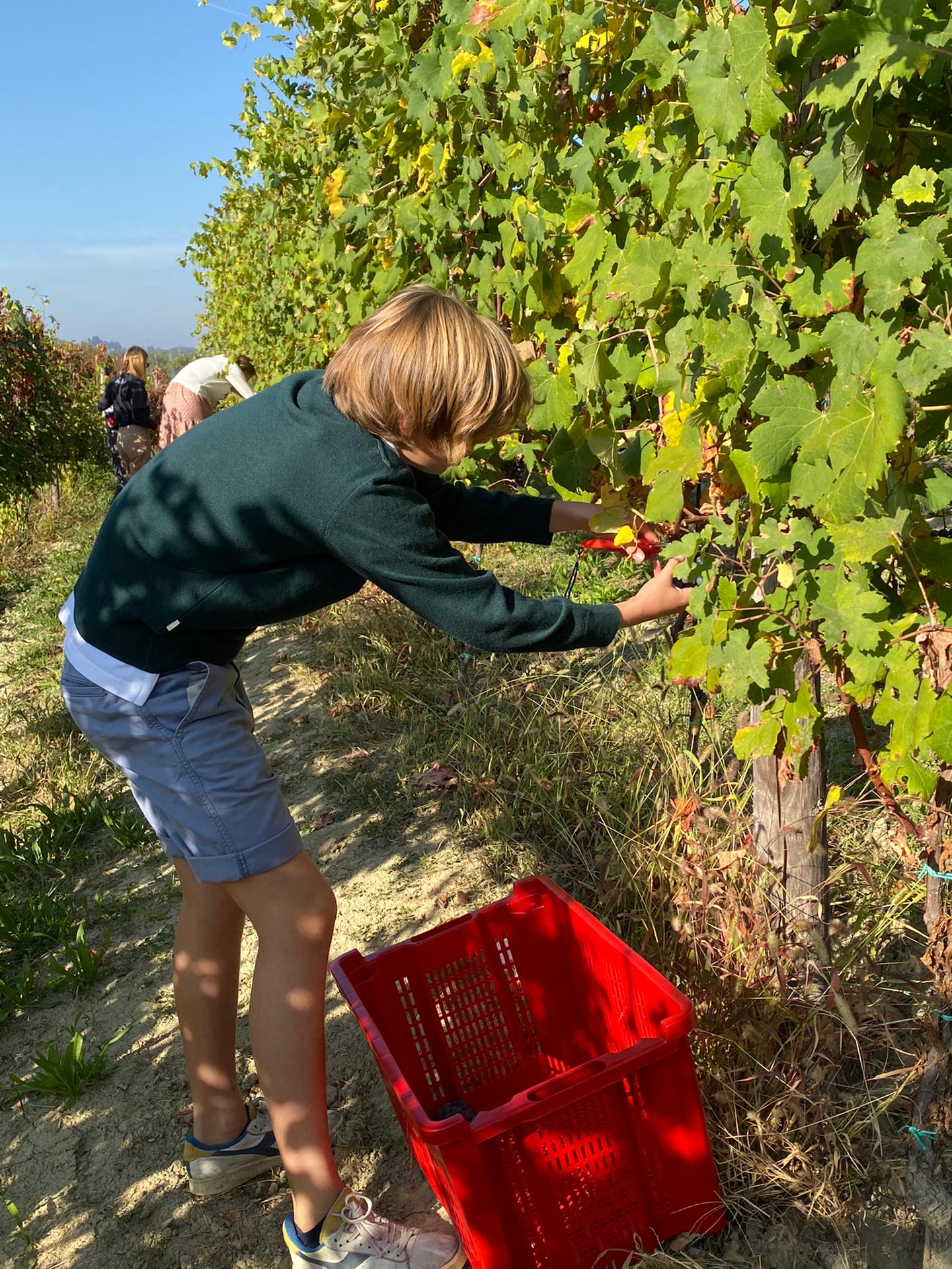 PHOTO-2019-10-06-16-22-22(1)