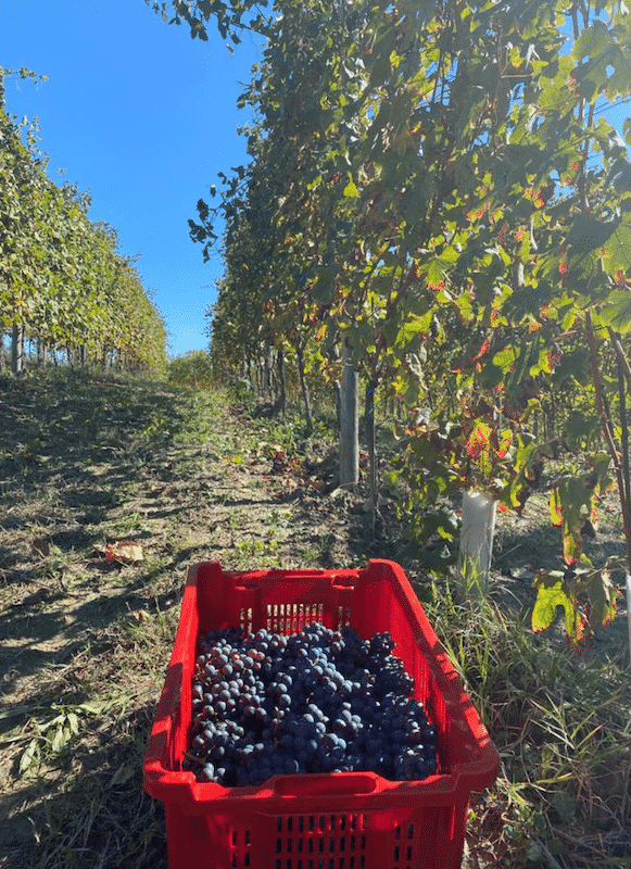 Screenshot 2020-10-20 at 18.53.52